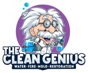 the clean genius logo