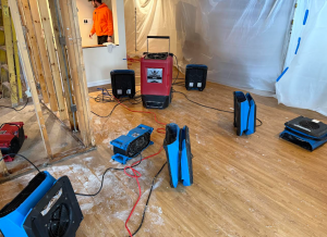 the clean genius job site