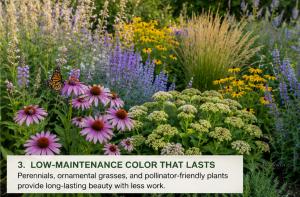 Colorful low-maintenance perennial garden with pollinator plants, ornamental grasses, echinacea, and flowering perennials in a summer landscape setting.
