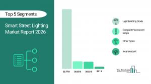 Smart Street Lighting Market Report 2026_Segments