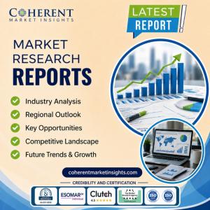 Pickleball Equipment Market