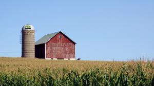 Close-up of an Iowa corn farm featuring a red barn and a Pocfarmer silo, surrounded by cornfields, highlighting modern agricultural infrastructure.