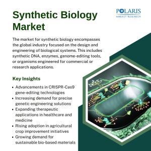Synthetic Biology Market