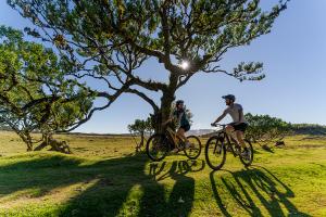 Madeira Weddings & Honeymoons