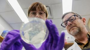 Graduate student Emily Baum (left) and Dr. Tom Barker observe a Petri dish together in a lab at the University of Virginia while conducting research.