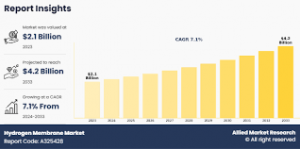 Hydrogen Membrane Market Growth Opportunities