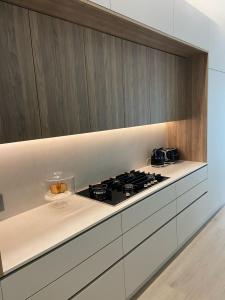 Modern kitchen remodeling in Miami Beach featuring quartz countertops and custom cabinetry