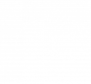 theindigowest