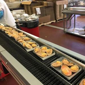 Food and Beverage Flooring
