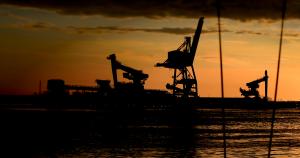 Cranes, Medway River