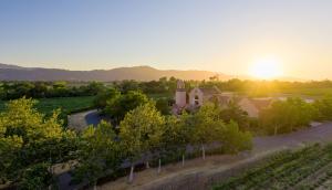 PIcture of Groth Vineyards & Winery in the Summertime
