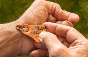 Removal of a Tick with an Original Tick Key™
