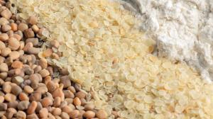 Guar Gum Market