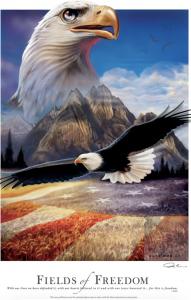 Ray Simon - Fields of Freedom
