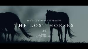 The Lost Horses in collaboration with NY Times Bestseller Atticus