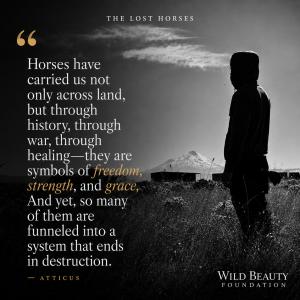 Atticus Quote 1: Lost Horses