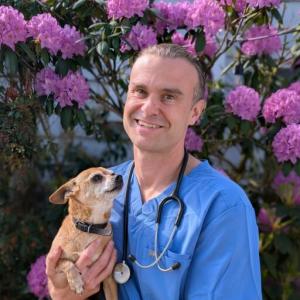 Dr. Benjamin Litwack, at her practice of in home pet euthanasia in Vineland, NJ