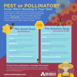 Modern Pest Services Encourages New England Homeowners to Protect Pollinators While Managing Harmful Pests