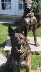 Dakotas Law for the Heroes