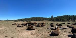 Backroad Travel Near St. George Is Becoming More Popular