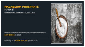 Magnesium Phosphate Markets Growth