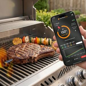 MeatStick V Core inserted in food while grilling.