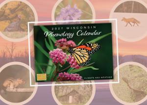 Graphic featuring a calendar cover with a monarch butterfly on milkweed flowers, surrounded by round frames with other nature images.