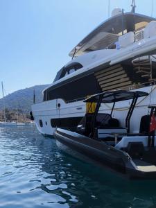 Larger power boat with IRON boat tender tied to it's side