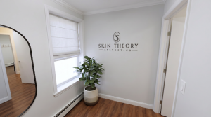 Skin Theory Aesthetics Med Spa Mount Kisco Interior