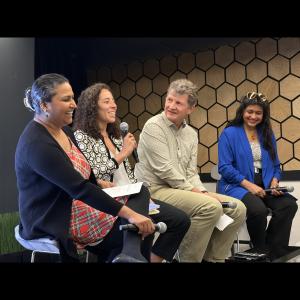 CSO session on AI and Sustainability