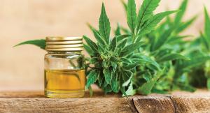 CBD nutraceuticals market