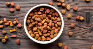 pet food market