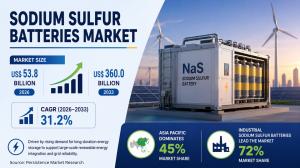 Sodium Sulfur Batteries Market