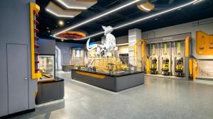Zoomking custom interactive science museum exhibit for children's museums and science centers, designed for durable, high-traffic environments