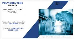 Polyisobutene Market Projections