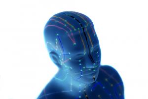photo of a dummy blue head for demonstration of accupuncture of the main meridian points on the face and head