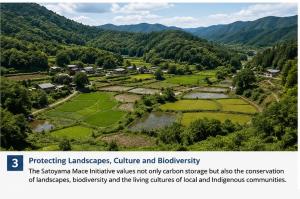 The Satoyama Mace Initiative values not only carbon storage but also the conservation of landscapes, biodiversity and the living cultures of local and Indigenous communities.