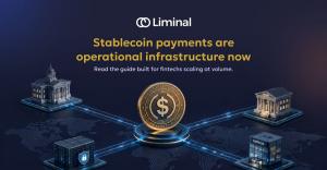 Stablecoin report by Liminal