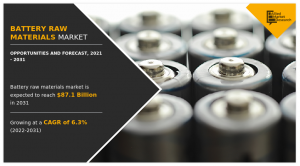 Battery Raw Materials Markets Growth