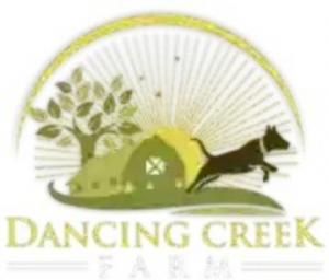 Dancing Creek Farm offers dog boarding, training, and Forever Dog Protection Plans in Virginia