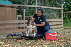 Dancing Creek Farm Pet Trust Program Virginia