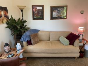 Waiting-Room-Michelle Baumgartner-Psychotherapy