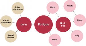 Network diagram illustrating how menopause symptoms are interconnected. Fatigue appears as a central hub linking cognitive symptoms such as brain fog and focus difficulty with mood, sleep, vasomotor, sexual health, and genitourinary symptoms.