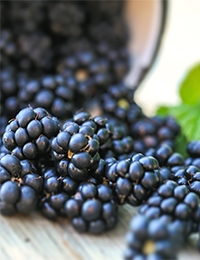 sorbitol market