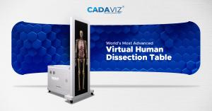 CADAVIZ virtual human dissection table displaying a full-body digital anatomy model.