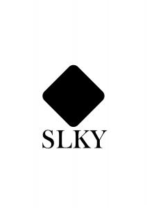 A prism style logo with black square for SLKY World