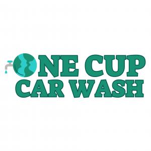 New Detroit non-profit car wash!