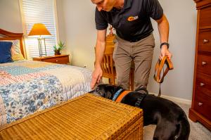 Senior Bed Bug Inspector Ben Johnson inspecting a mattress for signs of bed bugs during a residential inspection in Kansas City.