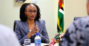 Marie-Therese Johnson, Head of the Dominica Citizenship by Investment Unit, sitting at a conference table in a grey suit and glasses, with the Dominica flag visible in the background