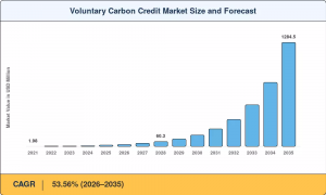 Voluntary Carbon Credit Market Size Forecast 2035